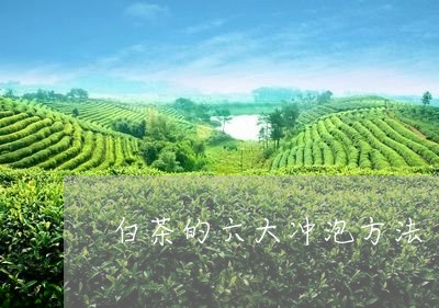 白茶的六大冲泡方法/2023073051504