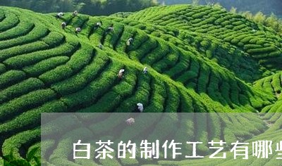 白茶的制作工艺有哪些/2023100661683