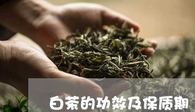 白茶的功效及保质期/2023072447250