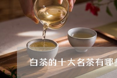 白茶的十大名茶有哪些品牌/2023110688461