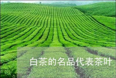 白茶的名品代表茶叶/2023072448494