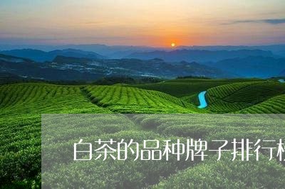 白茶的品种牌子排行榜图片/2023110819694