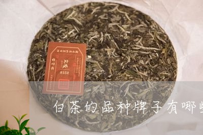 白茶的品种牌子有哪些名字/2023110862825