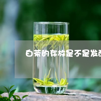 白茶的存放是不是发酵/2023100707371