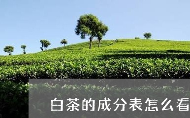 白茶的成分表怎么看的/2023100627260