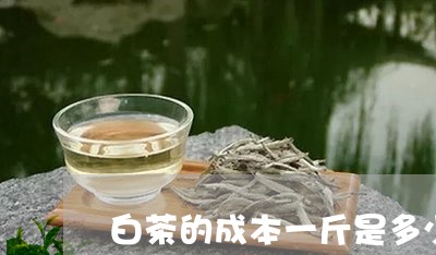 白茶的成本一斤是多少/2023100680480