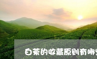 白茶的收藏原则有哪些/2023100610372