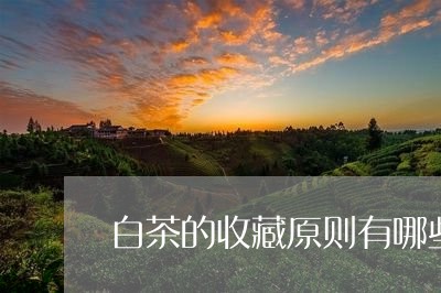 白茶的收藏原则有哪些呢/2023103164915