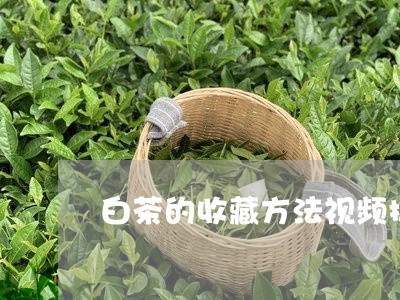 白茶的收藏方法视频播放/2023103173839