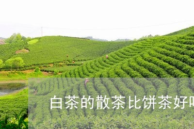 白茶的散茶比饼茶好吗/2023100673725