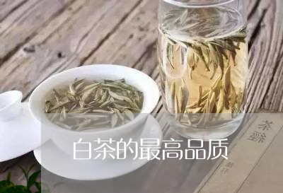 白茶的最高品质/2023060539372