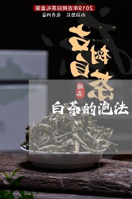 白茶的泡法用什么茶叶/2023100625149