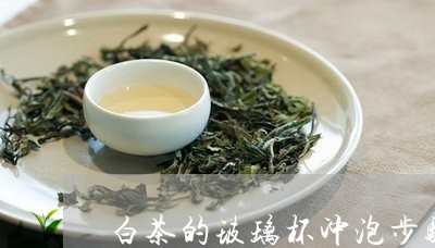 白茶的玻璃杯冲泡步骤图片/2023110628382