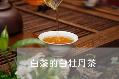 白茶的白牡丹茶/2023112363826