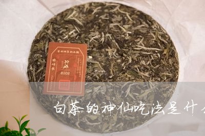 白茶的神仙吃法是什么呢/2023103188301