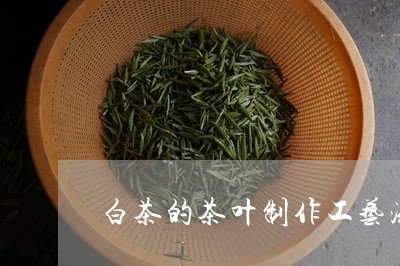 白茶的茶叶制作工艺流程图/2023110637402