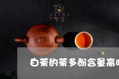 白茶的茶多酚含量高吗/2023100653626