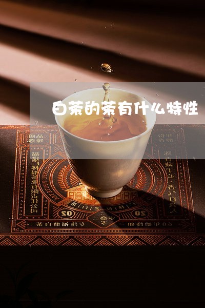 白茶的茶有什么特性/2023072309394