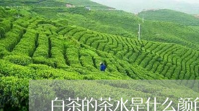 白茶的茶水是什么颜色的呢/2023110626937