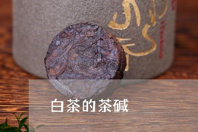 白茶的茶碱/2023051039484