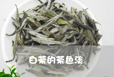 白茶的茶色淡/2023052017591