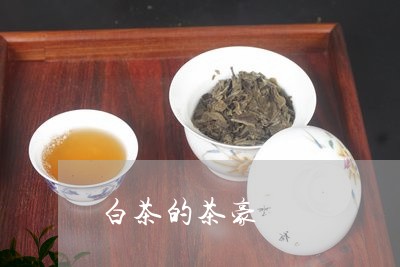 白茶的茶豪/2023051092593