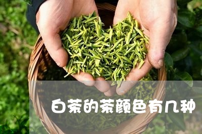 白茶的茶颜色有几种/2023100602504