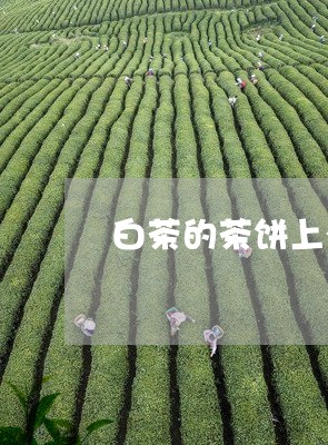 白茶的茶饼上有白毛/2023072394716