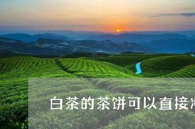 白茶的茶饼可以直接冲泡吗/2023110643935