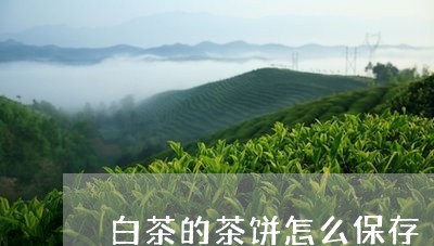 白茶的茶饼怎么保存/2023072348514