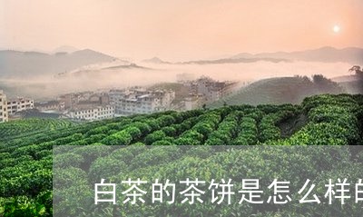 白茶的茶饼是怎么样的/2023100657371