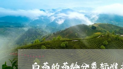 白茶的茶龄分类标准表图片/2023110678593