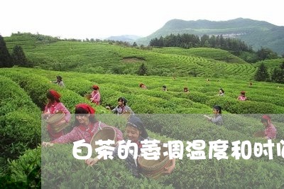 白茶的萎凋温度和时间/2023100621614