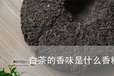 白茶的香味是什么香精/2023100702713