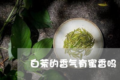 白茶的香气有蜜香吗/2023072465058