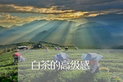 白茶的高级感/2023052011613