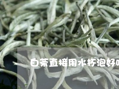 白茶直接用水杯泡好吗/2023100715068