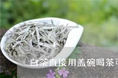 白茶直接用盖碗喝茶可以吗/2023110855937