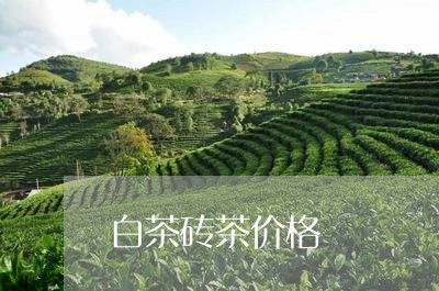 白茶砖茶价格/2023052097269