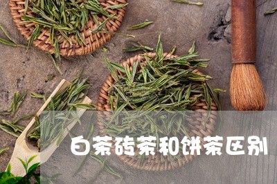 白茶砖茶和饼茶区别/2023072330492