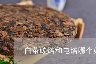 白茶碳焙和电培哪个好/2023100708036