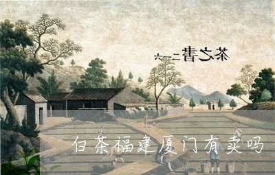 白茶福建厦门有卖吗/2023120513938