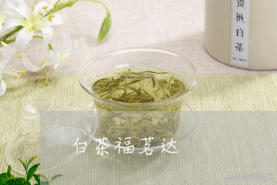 白茶福茗达/2023051059603