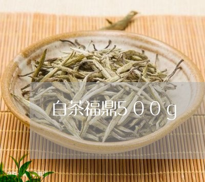 白茶福鼎500g/2023112595136