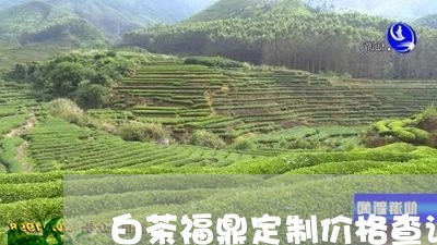 白茶福鼎定制价格查询/2023091593705