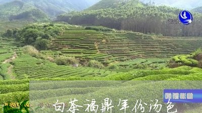 白茶福鼎年份汤色/2023120793948