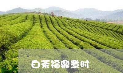 白茶福鼎煮时/2023052097260