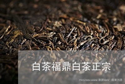 白茶福鼎白茶正宗/2023090553715