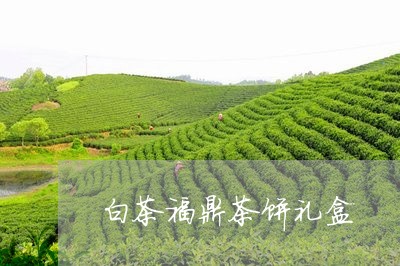 白茶福鼎茶饼礼盒/2023112580804