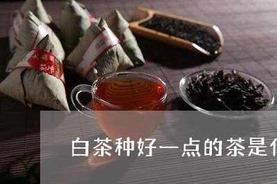 白茶种好一点的茶是什么茶/2023110740381